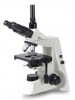 Microscopio triocular infinito Luzeren