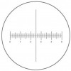 Reticula con micrometro Motic