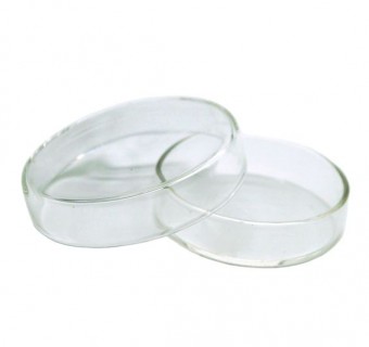 Caja petri de vidrio neutro 100*20mm Luzeren