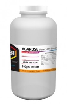 AGAROSA MBG 500g      IBI Scientific