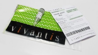 MEZCLA DE DNTP'S (DATP, DCTP, DGTP, DTTP)10MM 1.0ml Vivantis