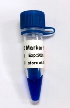 Marcador DNA 100 - 600 BP, 50ug DONGSHENG