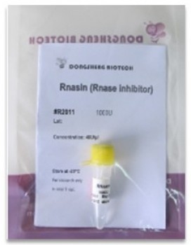 Inhibidor de RNASA (RNASIN) 1000 U DONGSHENG